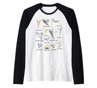 12 Tipi di Tabella di biologia educativa dei denti di squalo Maglia con Maniche Raglan