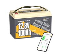 12 V 100 Ah Bluetooth Batteria LiFePO4 con 100 A BMS, bassa autoscarica Low-Temp