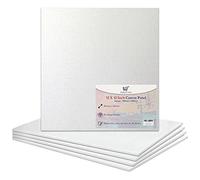 12 x 30,5 cm / 30,5 x 30,5 cm tela bianca allungata tavole da artista innescate 100% cotone per pittura ad olio pittura acrilica tecnica mista tela bianca pannello pittura (12 x 12 pollici - 5 tavole)