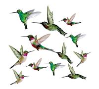 12 x Hummingbird Window Clings for Glass Safety on Windows, Doors and Transparent Panels. Window Decals to Prevent Bird Strikes on Glass - Bird Alert.