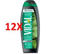 12 X Vidal Doccia Schiuma250 Ml Mint & Ginkgo