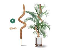 120 cm Palo di Muschio - Sostegno Supporto per Piante in Fibra di Cocco - Bastone per Piante Rampicanti con Corda di Iuta e Chiusura a Strappo - Adatto alla Crescita di Monstera e Altre Rampicanti