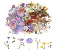 120 Pezzi Adesivi Floreali Trasparenti per Scrapbooking Adesivi per Piante Floreali Adesivi Artigianali Retrò Adesivi Floreali Colorati per Diario Carte Artigianali Fai da te Album