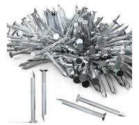 120 Pezzi Chiodi Acciaio per Cemento Armato Chiodelli 25 mm Perni da Muro Chiodi per Quadri Muro Chiodi Zincati Argenteo per Mattoni Immagini Appese Chiodi in Legno Uso Universale per Interni Esterni