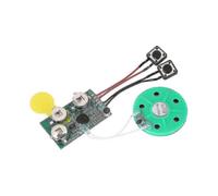 120 Second Sound Voice Recording Module Device Chip Writeable Sound Chip0 - PJ