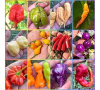 120 Semi dei 12 Peperoncini più Curiosi e Bizzarri del Mondo, Collezione FANTASY + Guida Coltivazione: 7 POD PRIMO, SCORPION, HABANERO, VIAGRANATURAL, PURPLE UFO, PSYCO PEARL, EROTICOPEPPER, etc