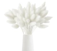 120 Teste di Erba Della Pampa Secca Fiori Secchi Pampasgras Bouquet Erba di Coda di Coniglio Secca Fiori Secchi Bianchi per Decorazioni Domestiche Matrimoni Eventi Sale per Eventi(Bianche)