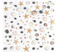 1200 conchiglie marine piccole stelle marine naturali miste oceano spiaggia conchiglie a spirale per decorazioni per la casa, decorazioni per matrimoni, candele, feste a tema spiaggia, artigianato fai