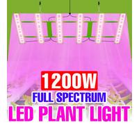 1200W LED Coltiva La Luce Spettro Completo Quantum Board Pianta Lampada UV Serra Tenda Verdure Fiore Coltivazione Idroponica illuminazione