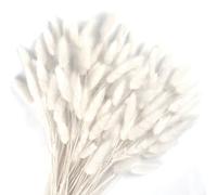 120Pezzi Bunny Tails Bouquet Coda Di Coniglio Naturale Bouquet Di Fiori Secchi Di Erba Di Pampa per Fiori Secchi Decorazione Camino Casa Cucina Chiesa Tavolo Decorazione Boho Nozze Decor（Bianco）