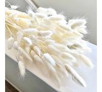 120Pezzi Bunny Tails Bouquet Coda Di Coniglio Naturale Bouquet Di Fiori Secchi Di Erba Di Pampa per Fiori Secchi Decorazione Camino Casa Cucina Chiesa Tavolo Decorazione Boho Nozze Decor（Bianco）