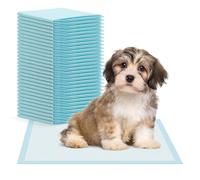 120x traversine cani ARNOMED, accessori per cuccioli, tappeto cane a 5 strati in 40x60cm, tappetino cane pipi, traverse per cuccioli, tappetini igienici cuccioli, accessori per cani di piccola taglia