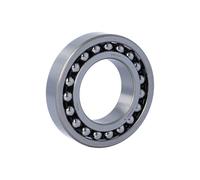 1211SK NTN 55,00 x 100,00 x 21,00 mm SELF ALL. BALL DOUBLE ROW Cuscinetto a s...