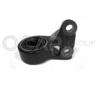 1215533 OCAP Supporto, Braccio oscillante per ROVER