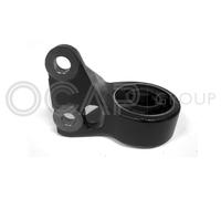 1215534 OCAP Supporto, Braccio oscillante per ROVER