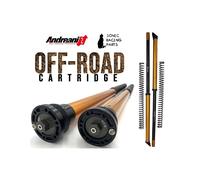 125/D02 CARTUCCIA ANDREANI RALLY RACE DUCATI DESERT X 2022 2023