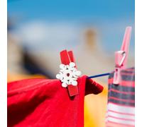 125 Pcs Clip Del Supporto Fotografico Fotografiche Per Le Immagini