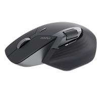 RAPOO MT760M SW - Mouse, Bluetooth/radio, ergonomico, nero