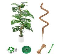 125CM Palo del Muschio per la Pianta,Bastone di Muschio Pieghevole,Porta Piante Rampicanti per Piante da Interno con Velcro e Spago(1×125CM)