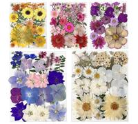 125pcs Fiori pressati secchi per stampi di resina, foglie di fiori secchi naturali a granula Kit di erbe reali per artigianato fai da te Candela di sapone Gioielli della carta (impostazione A)