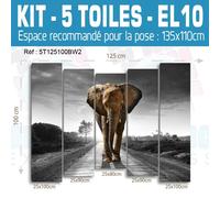 125X100Cm - Kit 5 Tele Stampate Tableau Decorativo - Elefante El10Bw2-5T125100