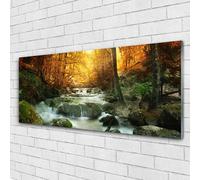 125x50 Pittura su Vetro Acrilico Arredo Casa Cascata Pietre di bosco