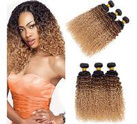 12A Grade Ombre Bundles Human Hair Ombre Deep Wave 3 Bundles Human Hair 100% Unprocessed Virgin Brazilian Deep Wave Human Hair Weave Bundles(Ombre 1B/30/27, 18 20 22)