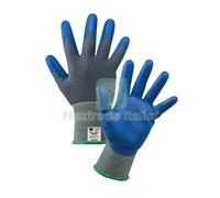 12PAIA GUANTI NYLON NITRILE GINGER PER ALIMENTI TG.10: