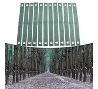 12PCS Albero Cinghie Giardino Accessori Verde Crescere Bello Facile A Utilizzare