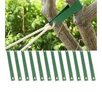 12PCS Albero Cinghie Giardino Accessori Verde Crescere Bello Facile A Utilizzare