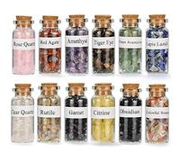 12Pcs Bottiglie di Pietre Preziose di Cristallo Curativo, Collezioni di Pietre Burattate di Quarzo Naturale, Bottiglia dei Desideri Reiki, Guarigione, Meditazione, Rituale di Bilanciamento dei Chakra