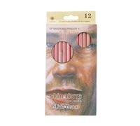 12Pcs Professionale Matite Pastello Morbido Legno Tinta Della Pelle Pastello Matita Colorata Strumenti di Disegno Per Artisti Modelli Per Forme Strumenti di Disegno E Forniture Modelli Chimica