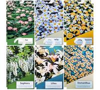12pcs Profuma Armadio Vestiti, Profumatori Armadio e Cassetti, Profumatore Auto, Profumo Aromi Sacchetti Lavanda Profumati per Armadio Cassetti Armadietti, Scarpiera Deodorante Armadio (12multi)