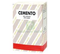 12PZ CEMENTO IN POLVERE GRIGIO KG. 1:
