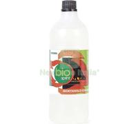 12PZ COMBUSTIBILE BIOETANOLO BIOCAMINO LT 1: