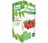12PZ CONCIME LIQUIDO CALCIO MAGNESIO ENERGICA GR 300: