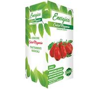 12PZ CONCIME LIQUIDO CALCIO MAGNESIO ENERGICA GR 300