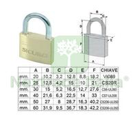 12PZ LUCCHETTO TIPO PESANTE OTTONE ARCO NORMALE MM.25: