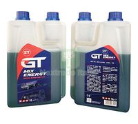 12PZ OLIO 2T SINTETICO ENERGY GT LT 1 ADDITIVATO: