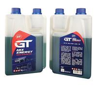 12PZ OLIO 2T SINTETICO ENERGY GT LT 1 ADDITIVATO
