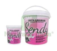 12PZ PASTA LAVAMANI "SENDY CLASSIC" ML.1000 IN BARATTOLO: