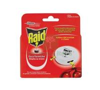 12PZ RAID ESCA FORMICHE :