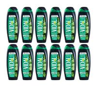 12pz VIDAL SHOWER GEL doccia shampoo Menta e Ginkgo Biloba 250ml