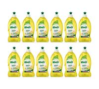 12pz WINNI'S Piatti Detersivo concentrato BERGAMOTTO e ZENZERO 480ml