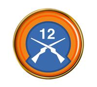 12th Fanteria Battalion (Irlandese Militare) Spilla