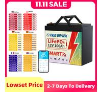 12V 100AH LiFePO4 Batteria BMS 100A Per Barca Solare RV Campeggio Motore Solare Alla Traina Bluetooth Al Litio Ferro Fosfato Batteria