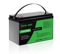 12V 100Ah LiFePO4 Lithium Batterie Akku BMS Solarbatterie Solaranlage Boot RV