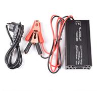 12V (14,6V) 20A CARICABATTERIA PER BATTERIE LIFEPO4 LITIO FERRO FOSFATO H2E2
