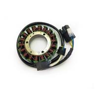 12V 18 bobine bobine generatore di bobine statore compatibile con CF500 x5 x6 500cc CF188 196S-B 196S-C CF188-A CF188-B CF188-C ATV UTV Modelli