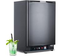 12V/220V Frigorifero 60L Frigo a Gas Caravan Camping Frigorifero per camion